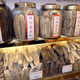 Image for article titled Why You Should Care That Sea Cucumbers Are Going Extinct